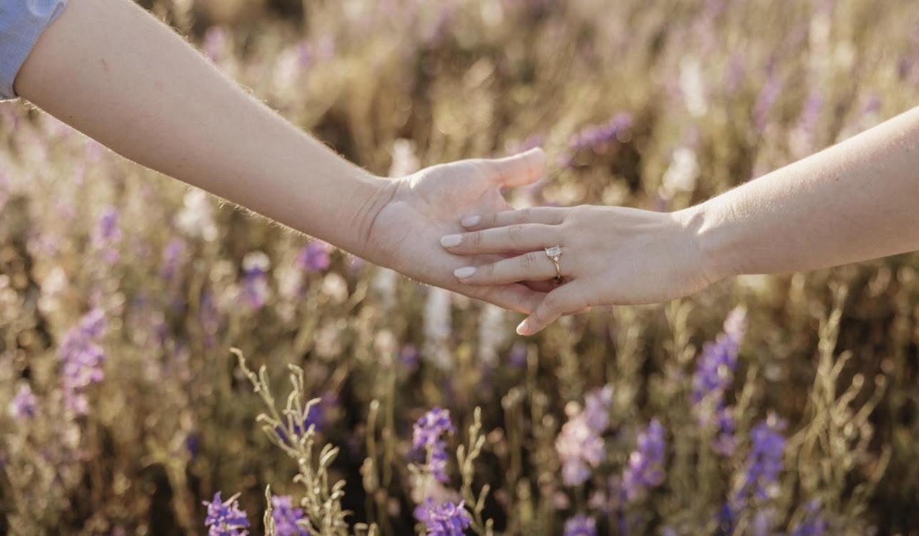 Hero Slideshow Image 2