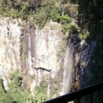 Purling Brook Falls, Springbrook National Park