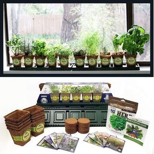 Sustainable Seed Company Windowsill Herb Garden Kit, Indoor Herb Garden Kit Complete with a 10 Variety Non GMO Heirloom Herb Seed Collection