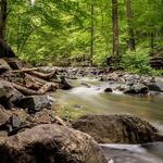 Patapsco Valley State Park