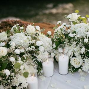 Our newlywed fund
