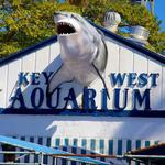 Key West Aquarium