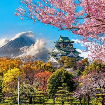 Honeymoon Fund - Japan!