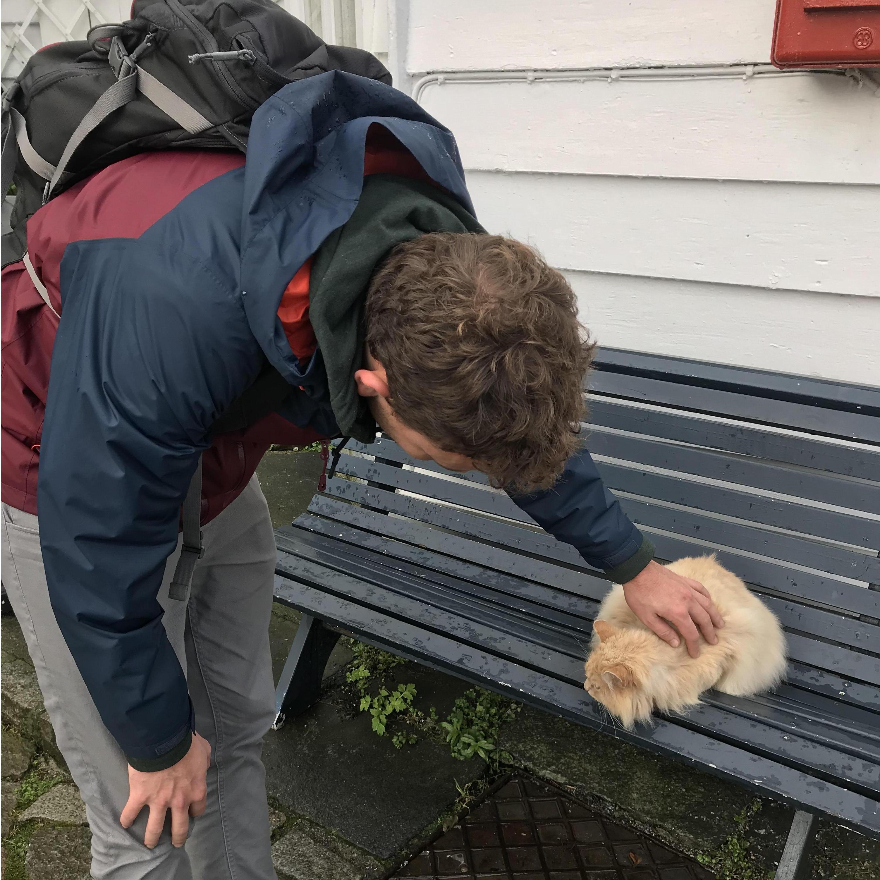 Making fluffy friends around the world