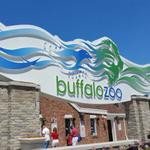 The Buffalo Zoo