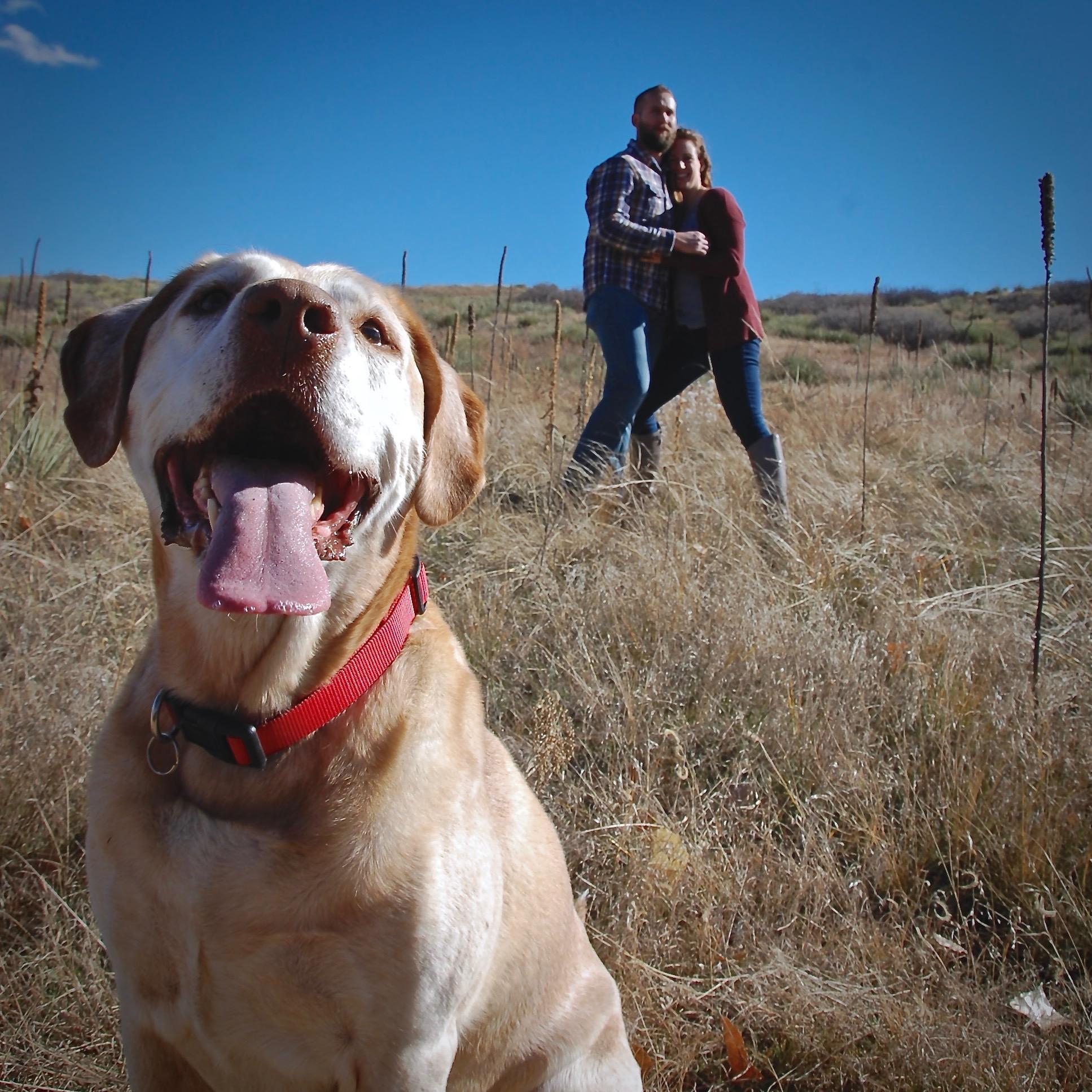 Ike Photo Op; Courtesy of Ross, Cassie and Erin, November 4, 2017