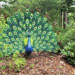 Atlanta Botanical Garden, GAINESVILLE