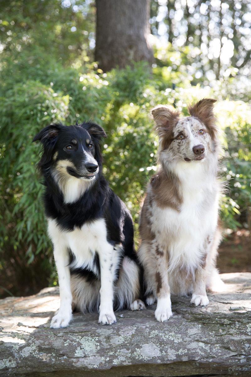 Caly and Boots