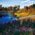 Chicago Botanic Garden