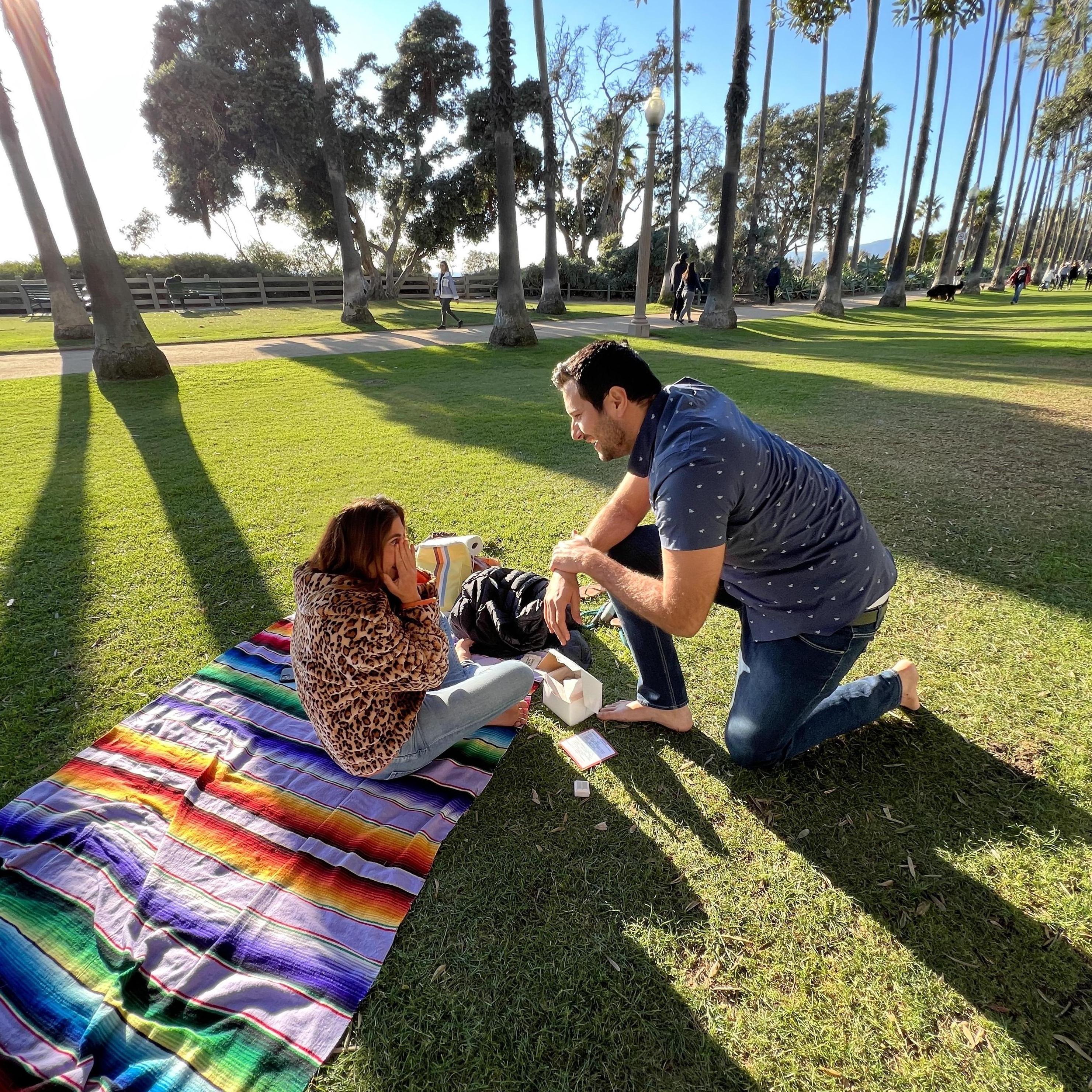 Proposal in Palisades Park