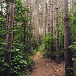 Raccoon Creek State Park