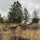 Peterson Creek Park