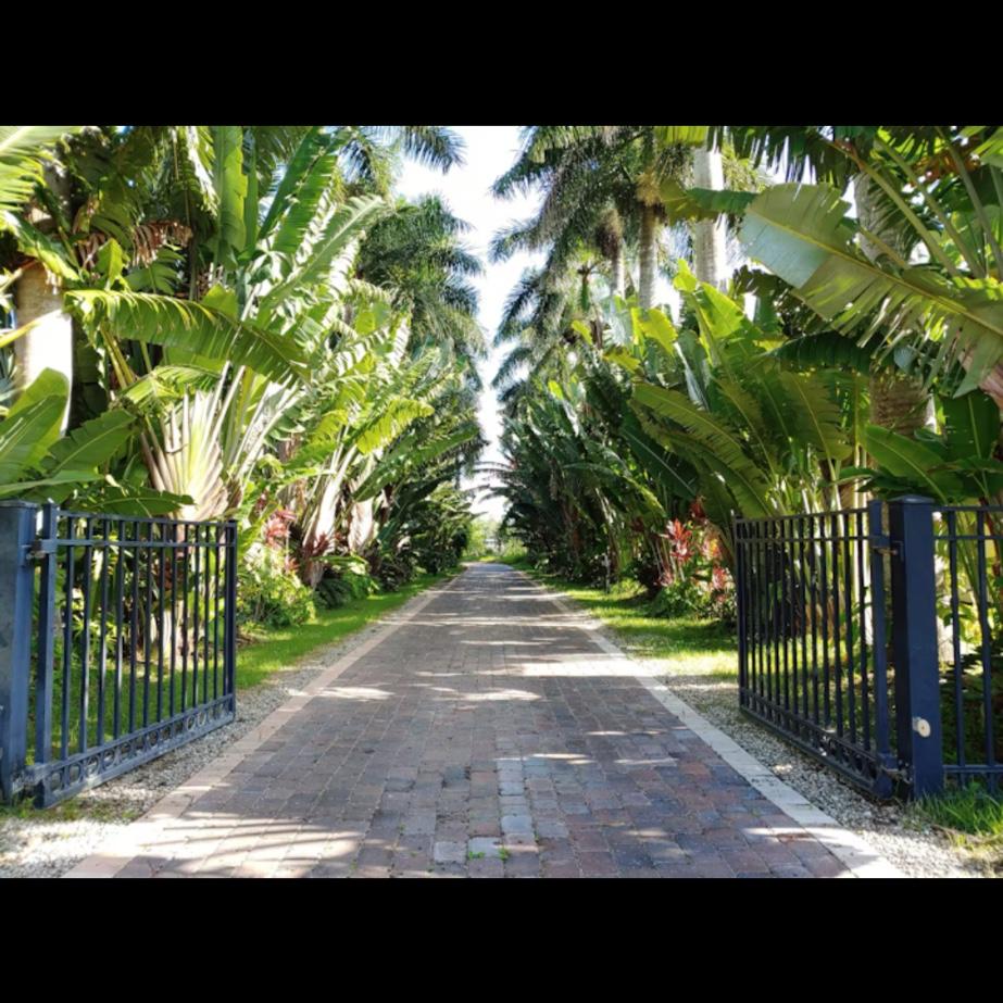 Land bridge/Driveway to the island