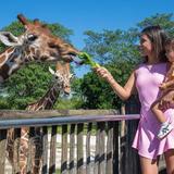 Zoo Miami