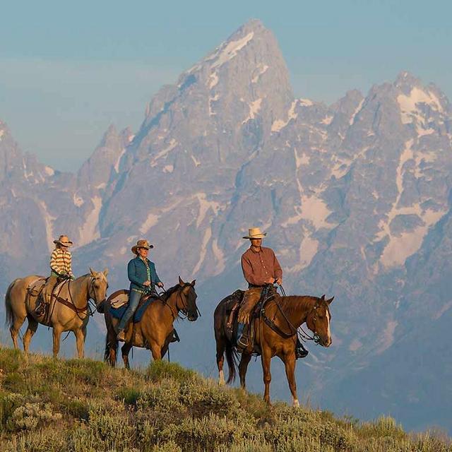 Horseback Riding On Our Honeymoon