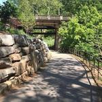 Swamp Rabbit Trail