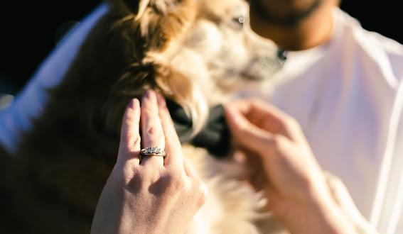 The Wedding Website of Rachel Sawyer and Nelson Ruiz