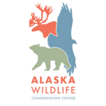 Alaska Wildlife Conservation Center