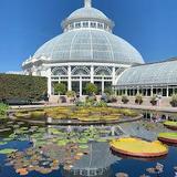 New York Botanical Garden