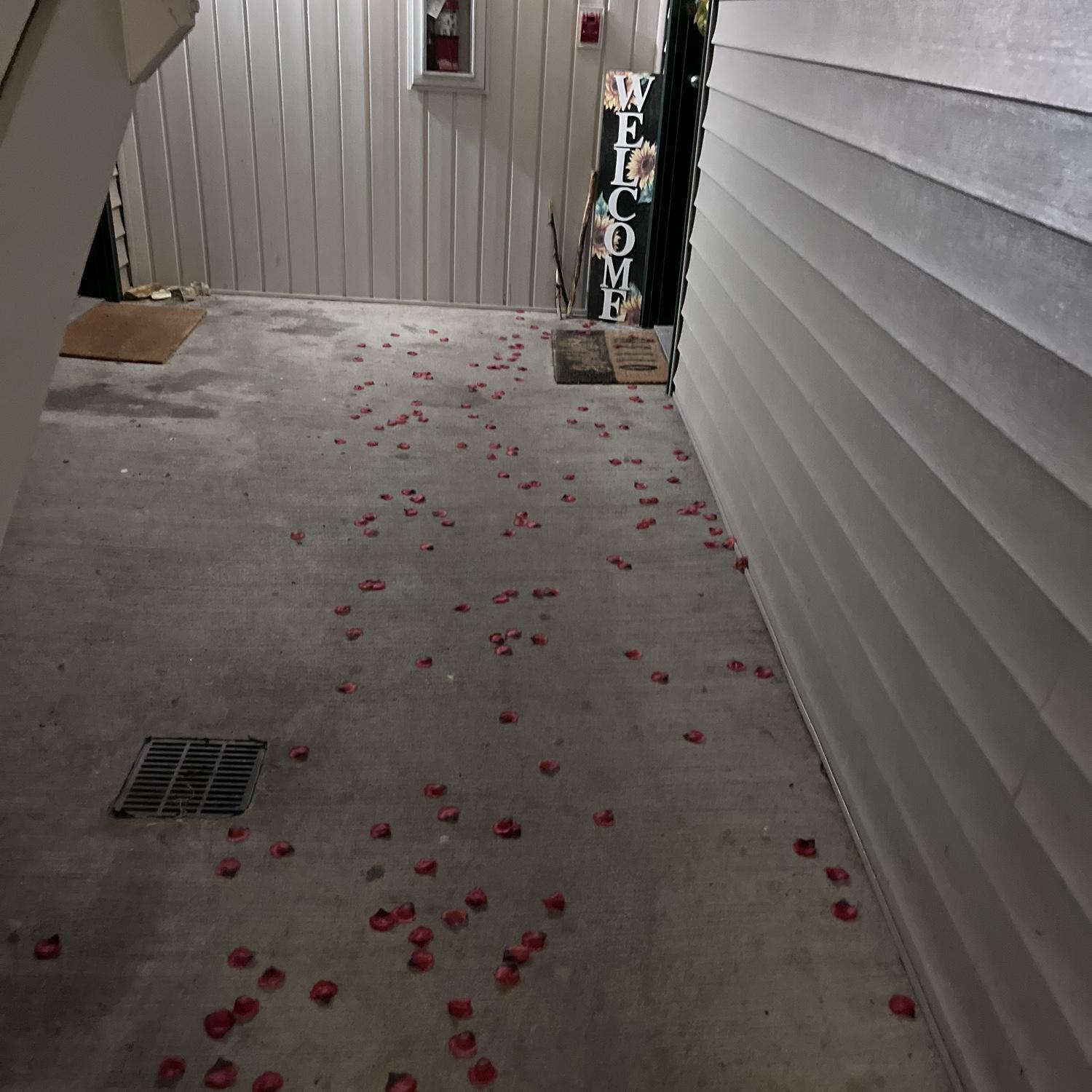 Rose pedals leading to our proposal.