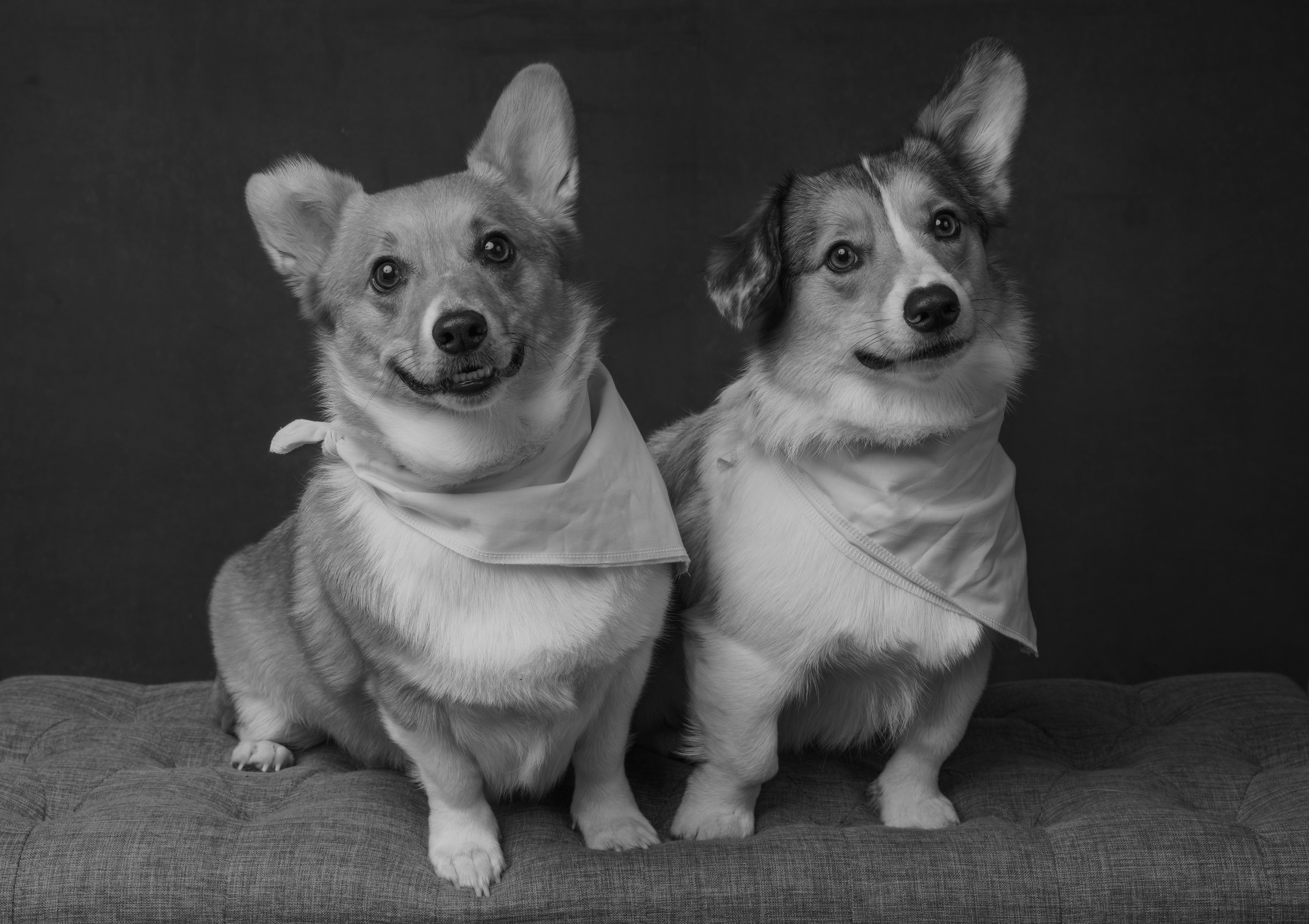 The Wedding Website of Braedhan Madden and Madison Semrau