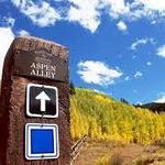 Hike Aspen Alley