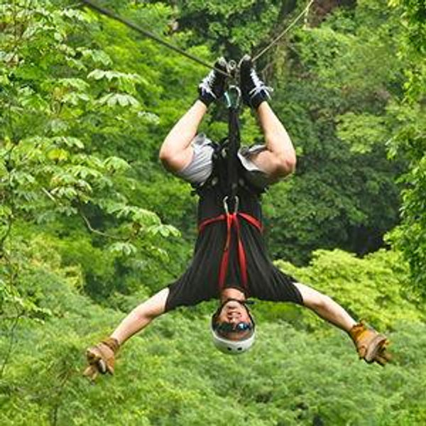 Zip Lining Excursion