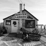 Lobster Landing
