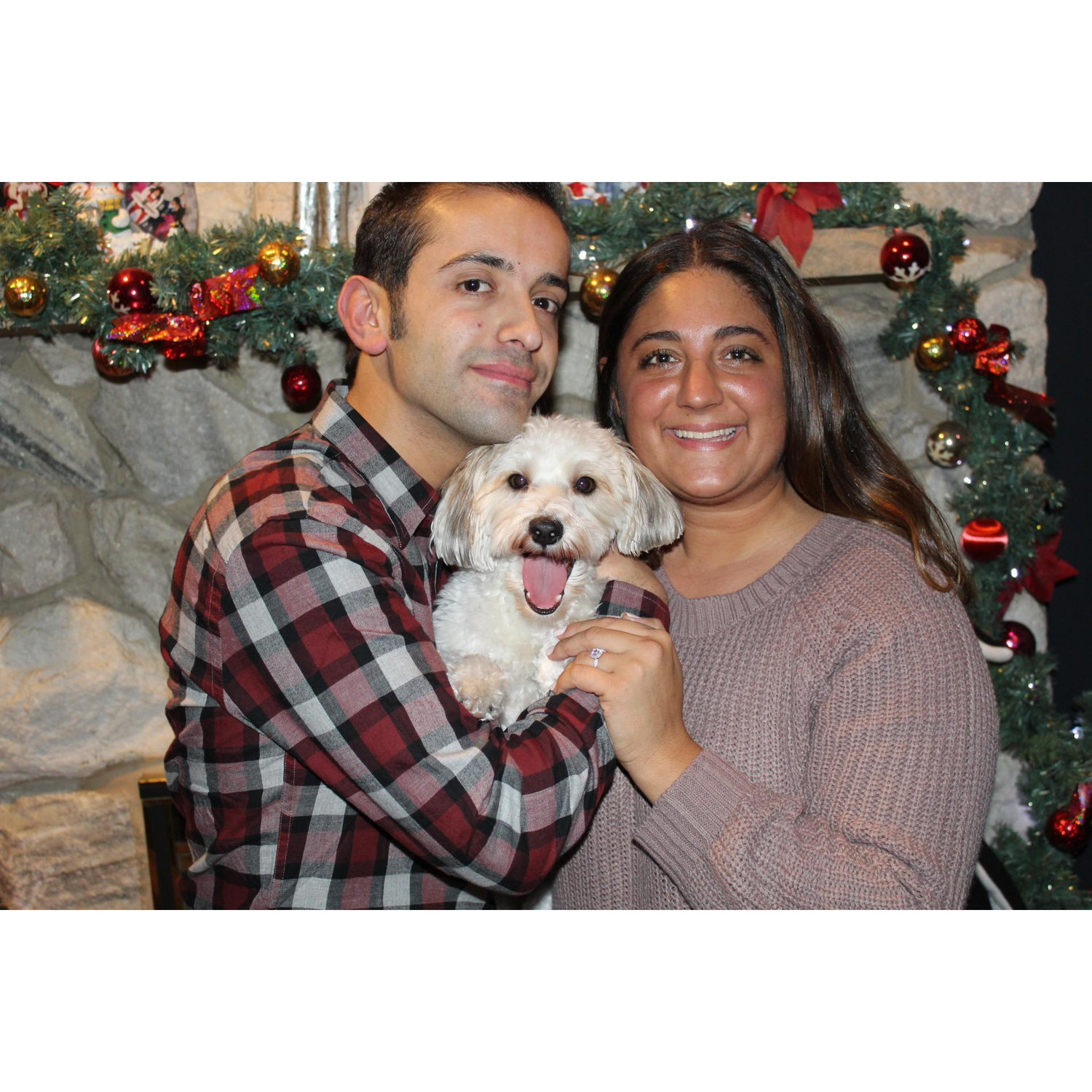 Christmas 2017 + Toby