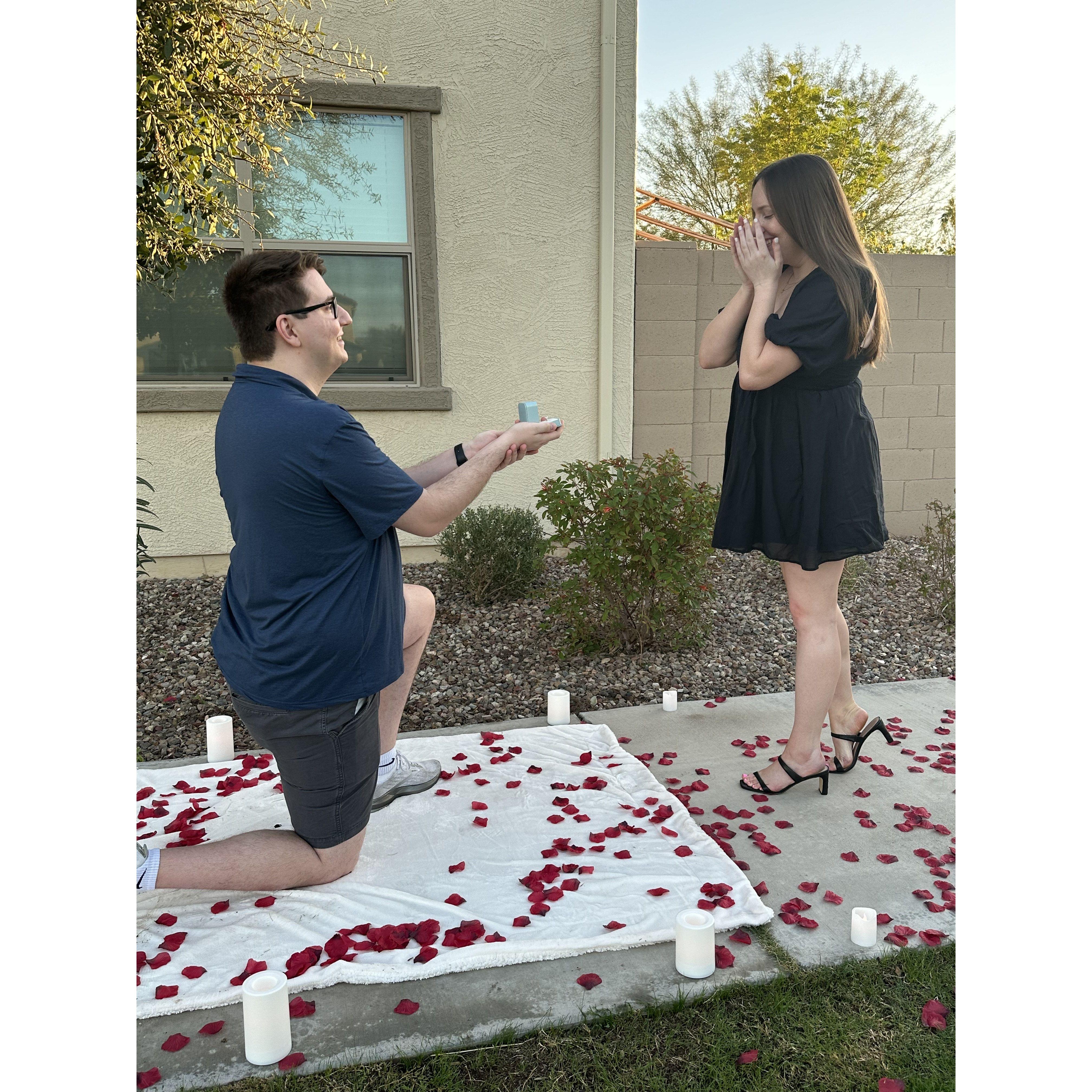 The proposal!