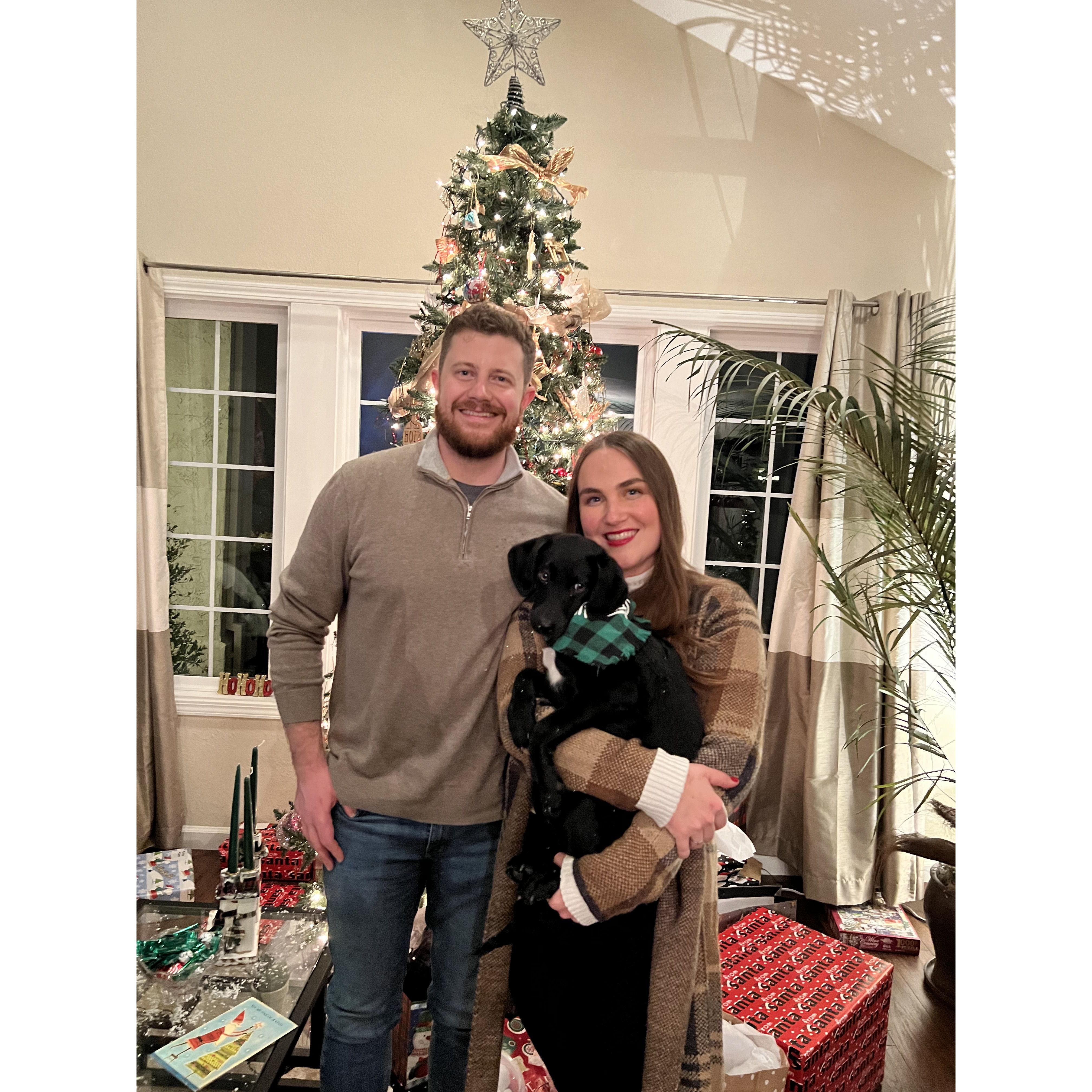 Rhea's first Christmas! She was able to fly with us to California to celebrate.