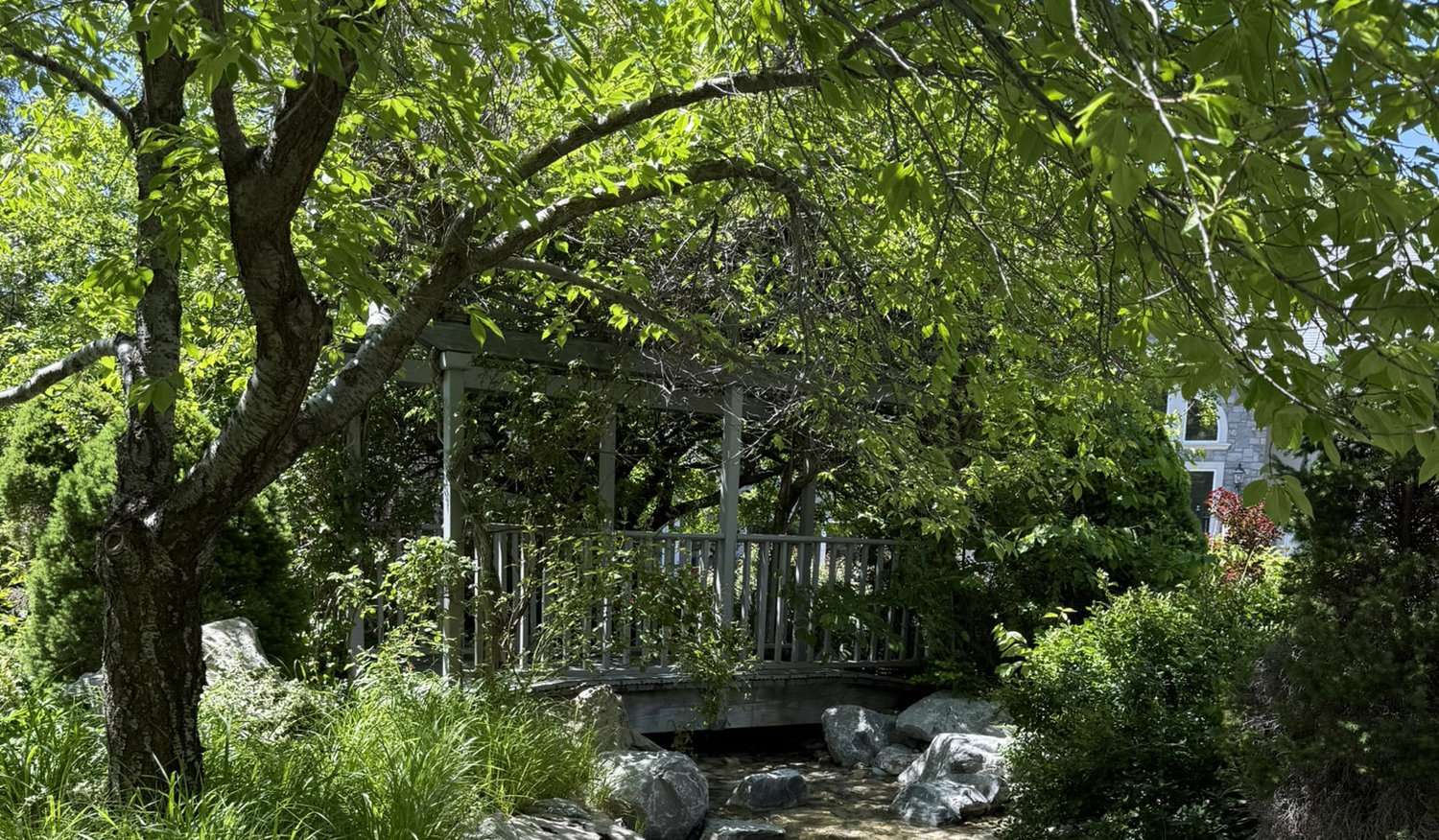 The Wedding Website of Joshua Kiefer and Jasmine Rodriguez