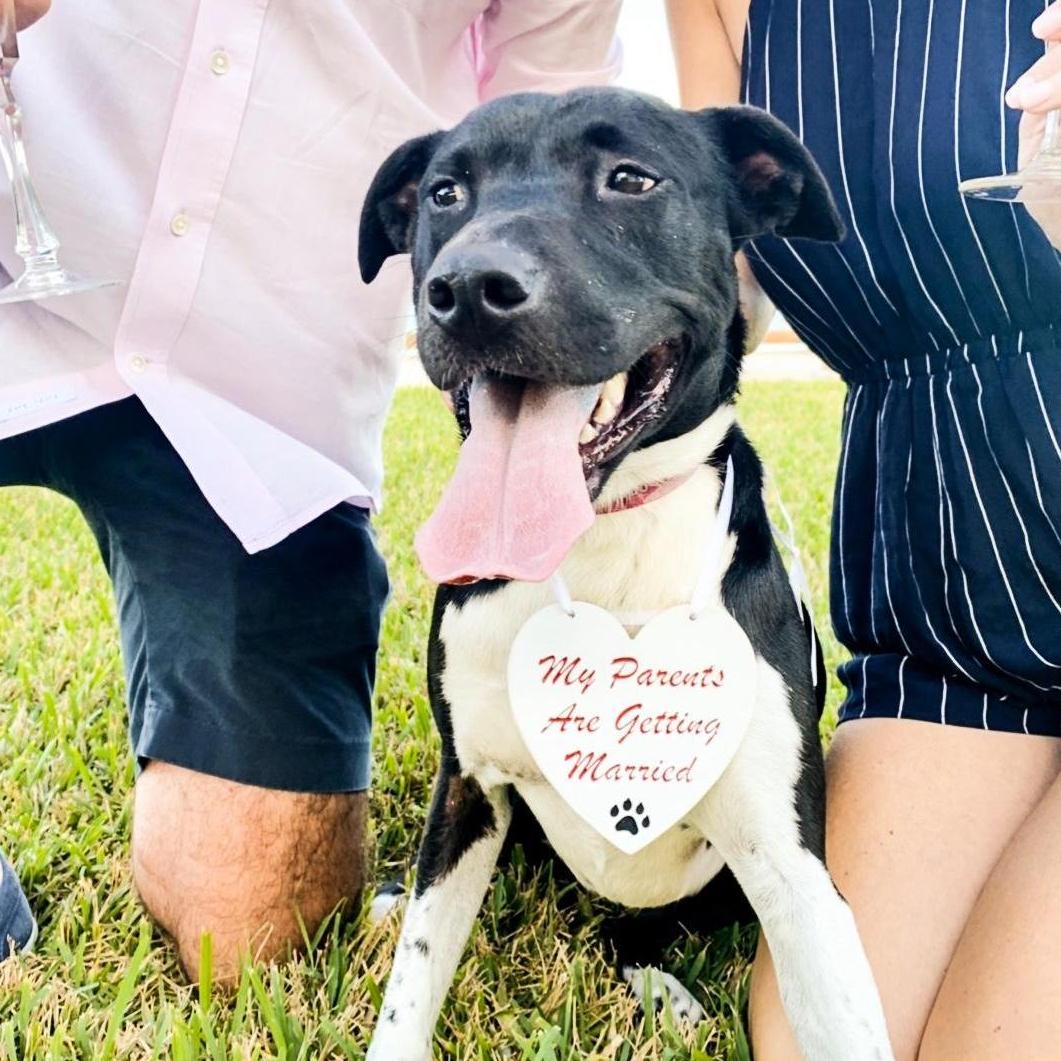 Millie may be the most excited of us all!