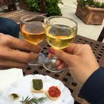 Sonoma Food & Wine Tour