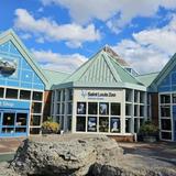 Saint Louis Zoo
