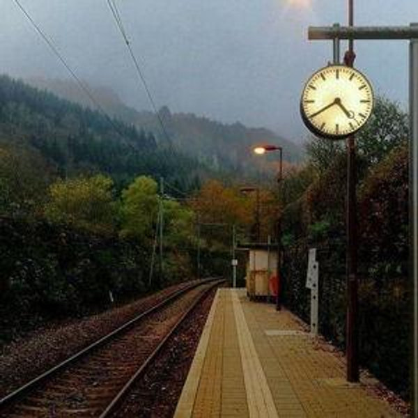 Train tickets during honeymoon