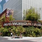 The Dallas World Aquarium