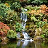 Portland Japanese Garden