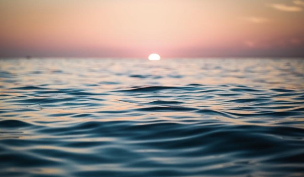 The Wedding Website of Ali Stephens and Drew Litvin