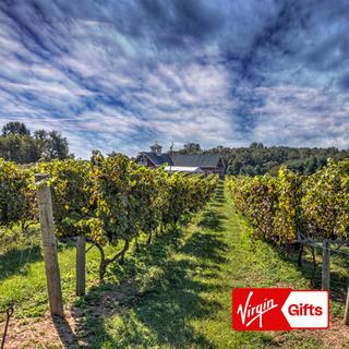 Private Wine Education Tour For 2 - Washington, DC