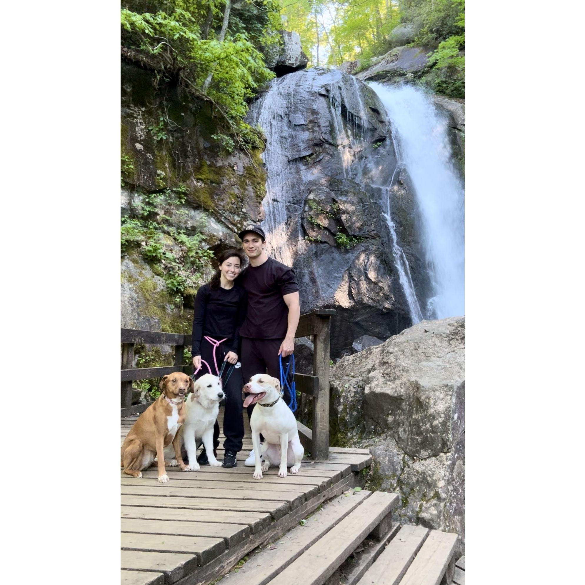 Hiking with the whole fam!
