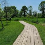Exton Park Pond Loop Trail