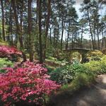 Garvan Woodland Gardens