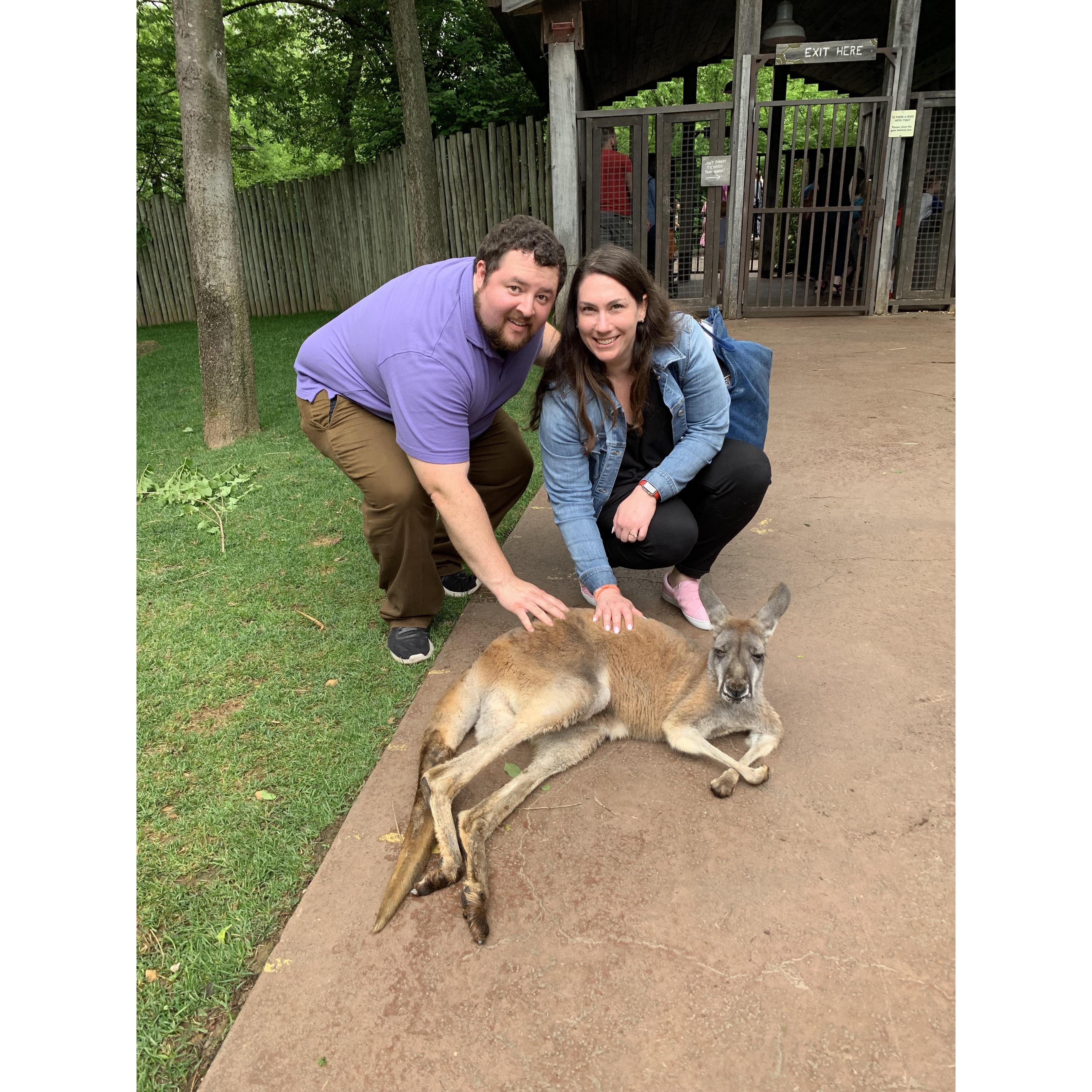They didn't land on the Nashville Zoo as a wedding venue, but they did get to pet a kangaroo there!