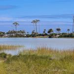 Hunting Island State Park