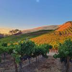 Wine Tasting in the Canyon