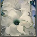 Georgia O'Keeffe Museum