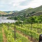 Fujishin Estate Winery