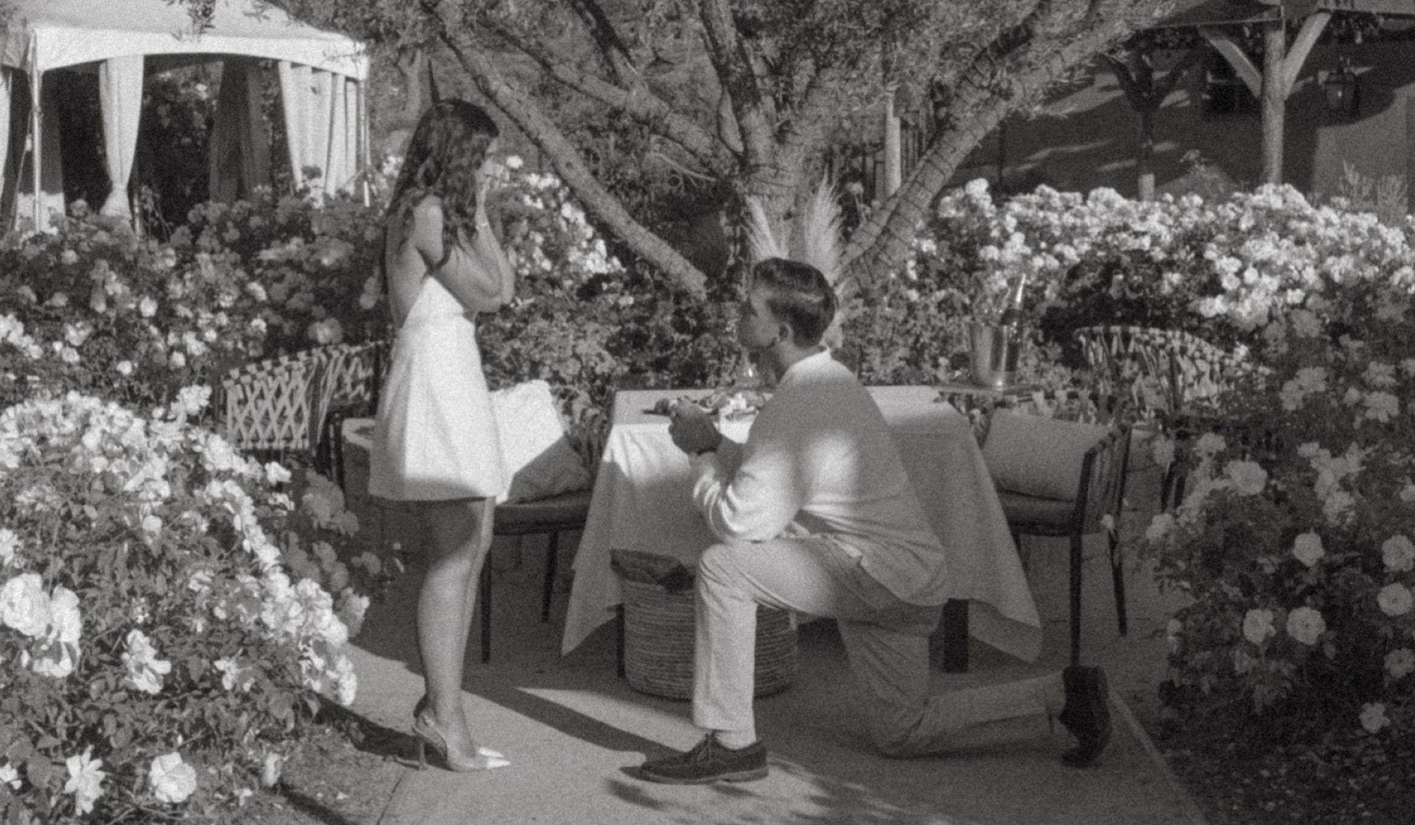 The Wedding Website of Isabel Rubio and Connor Nolan