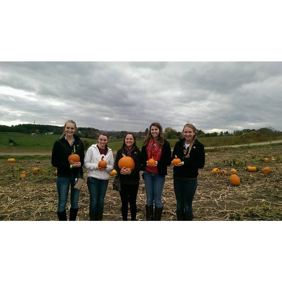 Pumpkin picking with Olivia's college roommates - 2013